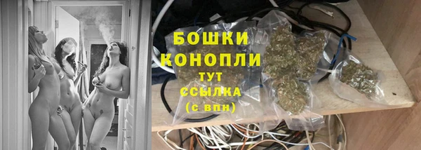 трава Гусь-Хрустальный