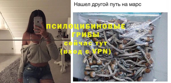 гидра Абдулино