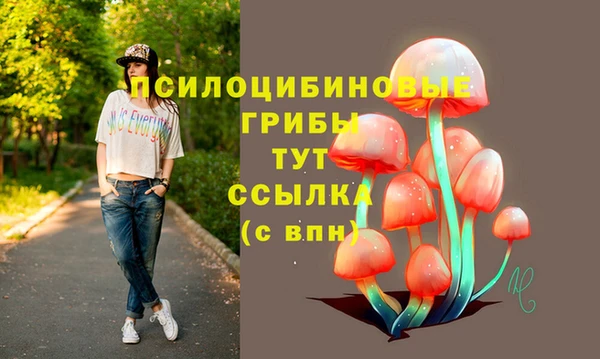 гидра Абдулино