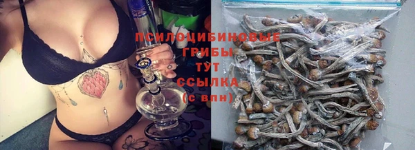 мдма Гусиноозёрск