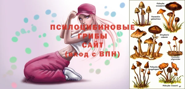 ALPHA PVP Абинск