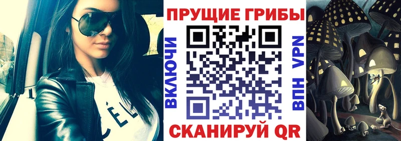 Псилоцибиновые грибы мицелий  Венёв 